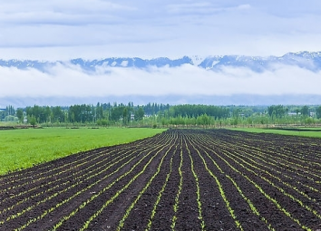 上海室內(nèi)空氣質(zhì)量檢測(cè)中心-上海CMA檢測(cè)報(bào)告