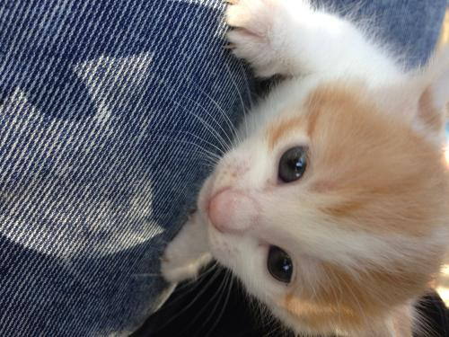 上海室內(nèi)空氣質(zhì)量檢測中心-上海CMA檢測報告