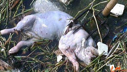 上海室內(nèi)空氣質(zhì)量檢測中心-上海CMA檢測報告