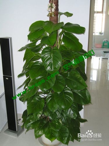 上海室內(nèi)空氣質(zhì)量檢測中心-上海CMA檢測報告